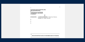 Probate Document Example v3